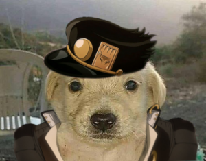 23